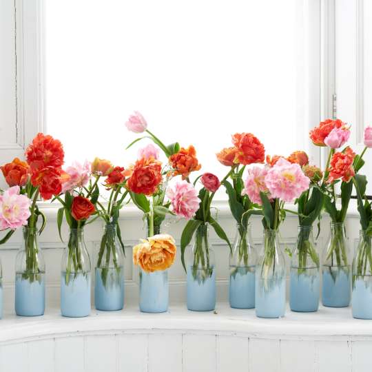 Die Tulpe in kreativen DIY Vasen