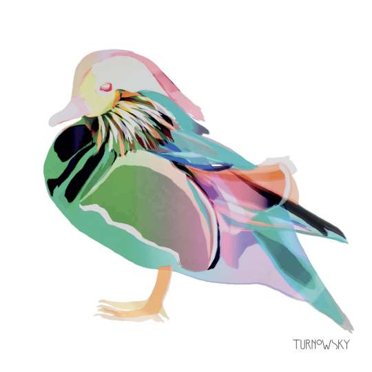 Turnowsky PPD Servietten Lunch Corfu Duck 1332416_Freisteller
