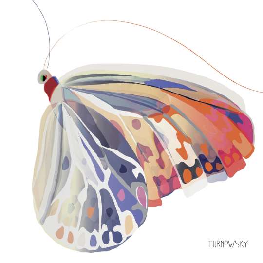 Turnowsky PPD Servietten Lunch Corfu Butterfly 1332418_Freisteller